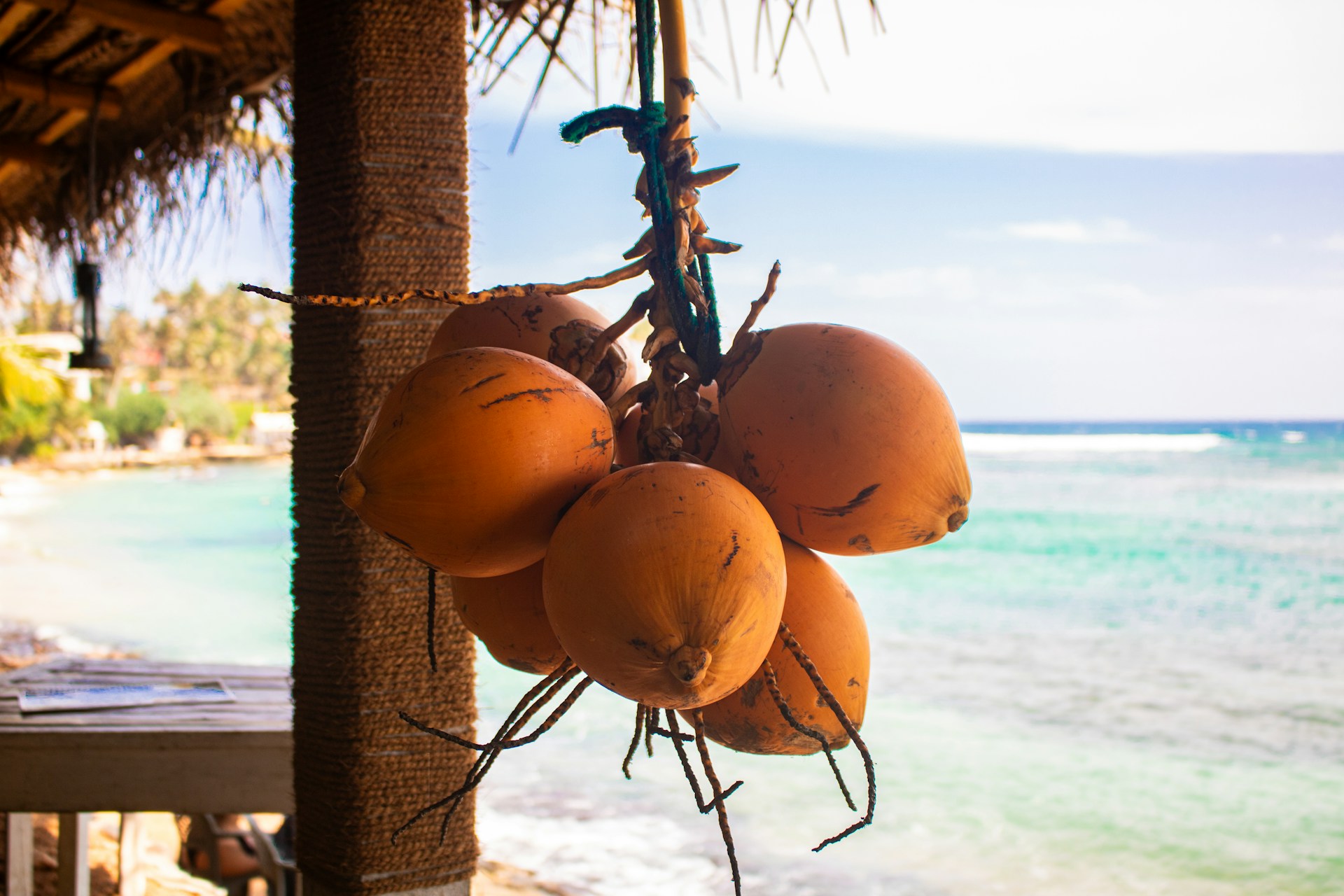 King Coconut